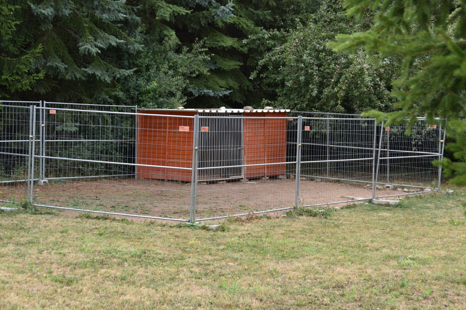 Der Bauzaun muss auf Anforderung des Ordnungsamtes noch bis Freitag weiter gesichert werden, damit die Hunde nicht erneut ausbrechen können.