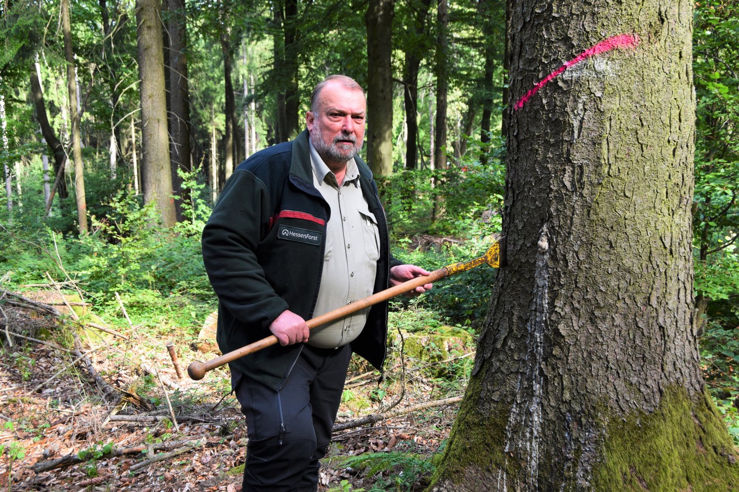 Förster Ralf Deckenbach