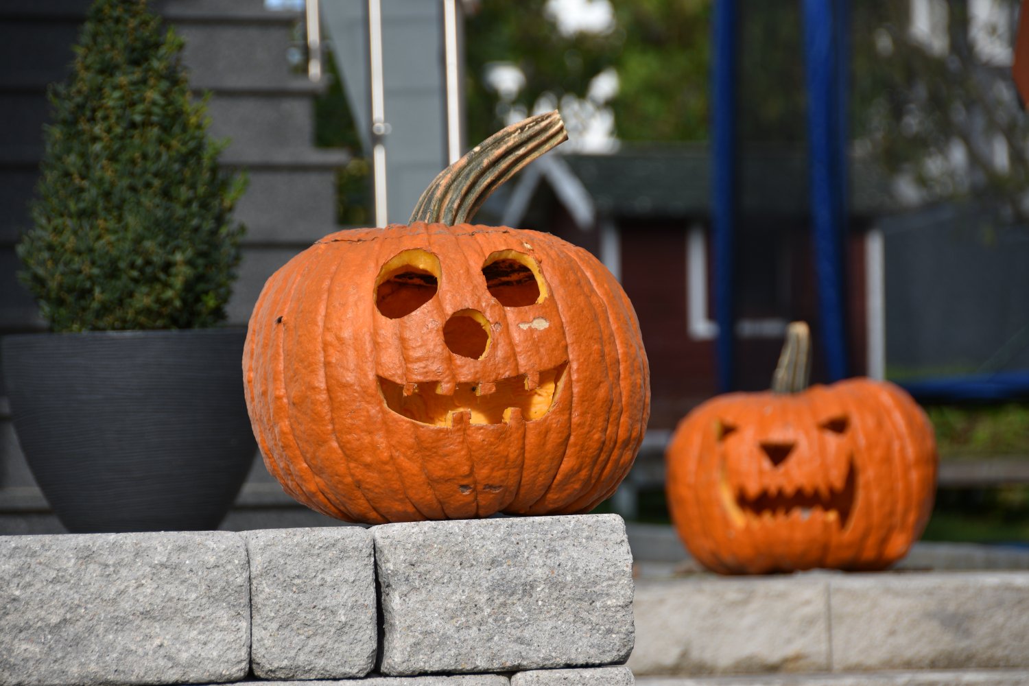 Auch im Main-Kinzig-Kreis wird Halloween gefeiert.