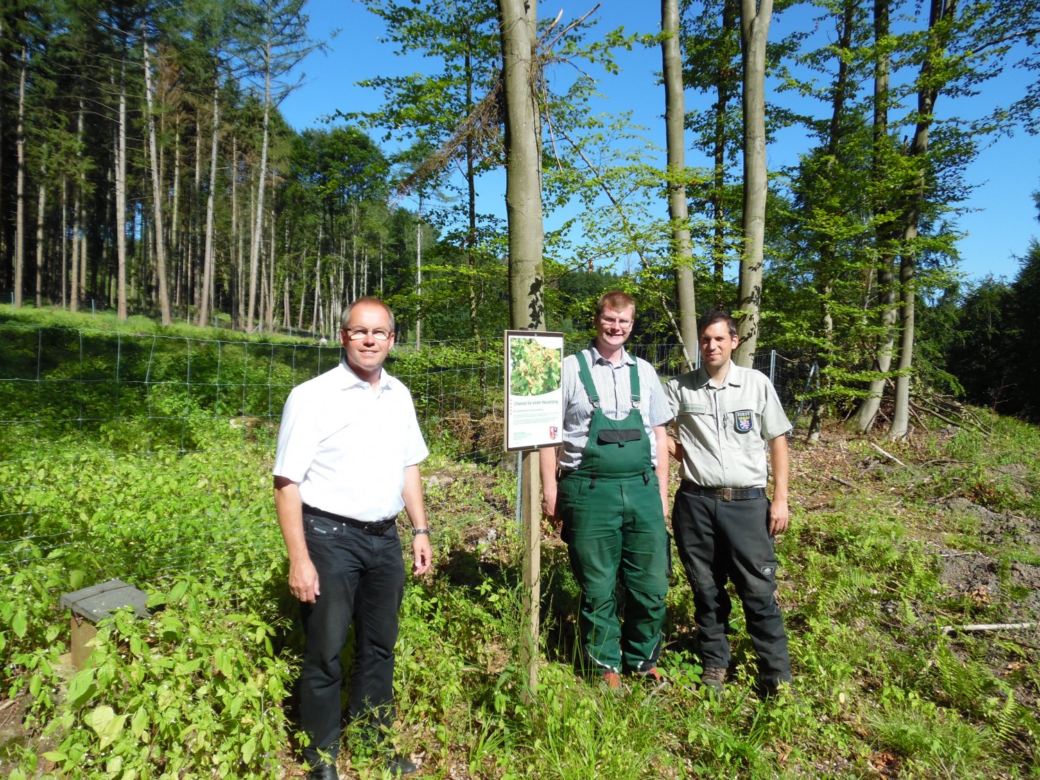 Gemeinsam mit Förster Lukas Rippl (rechts) und Forstwirt Timo Polzer (mitte) besichtigt Bürgermeister Gerald Helfrich die Aufforstungsfläche im Mittel-Gründauer Wald, wo 18.000 Traubeneichen neu angepflanzt wurden