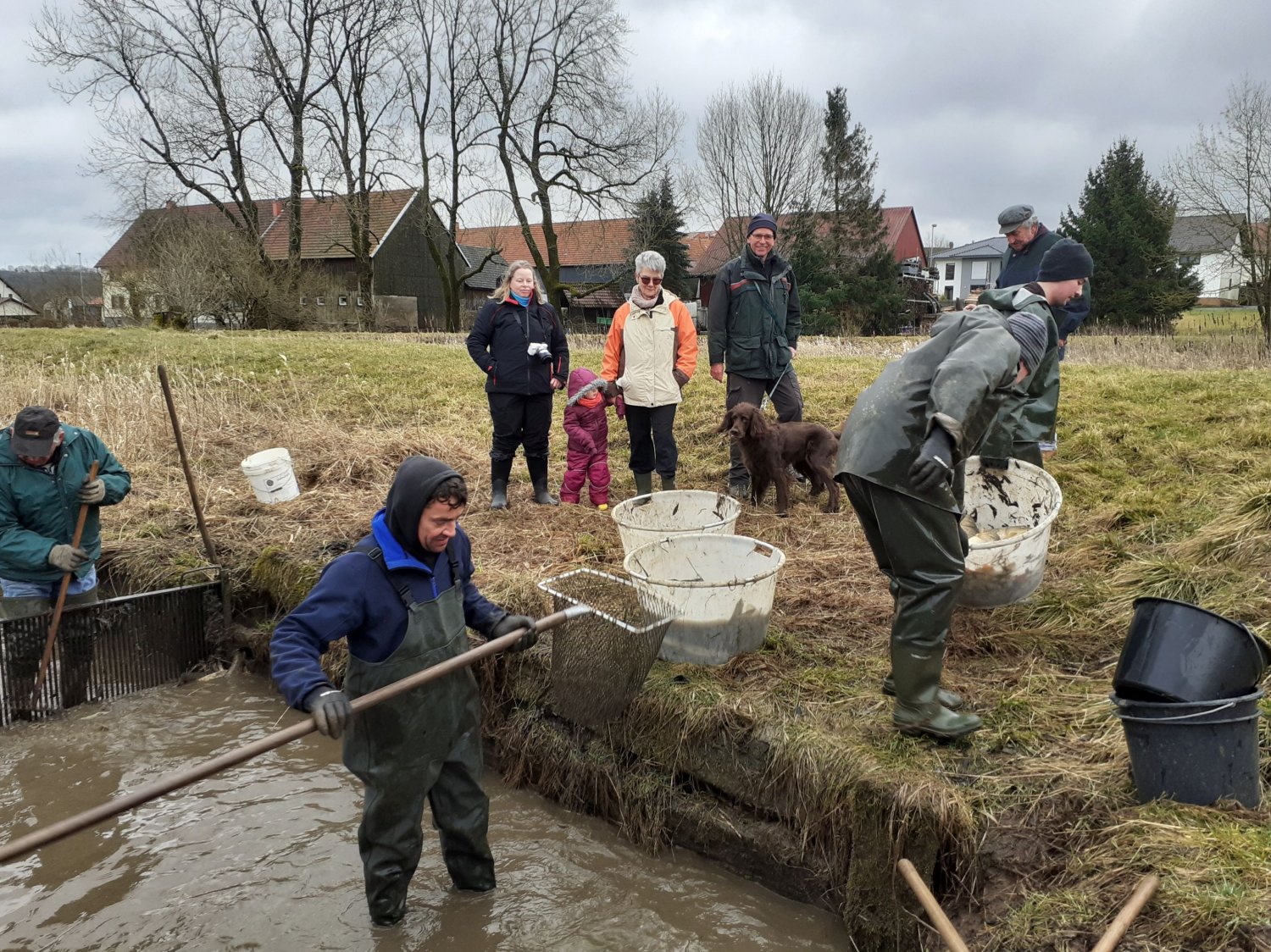 Der Teich bei Ober-Moos wird gesömmert