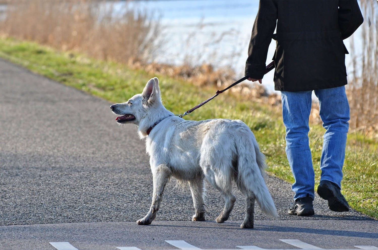 Insbesondere Hundebesitzer, aber auch Wanderer und Radfahrer sollten in der Feldgemarkung einige Verhaltensregeln beachten.