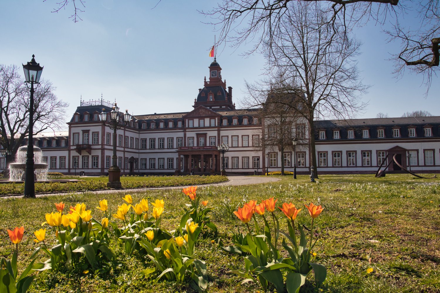 Der Park von Schloss Philippsruhe erstrahlt im Frühlingsglanz.
