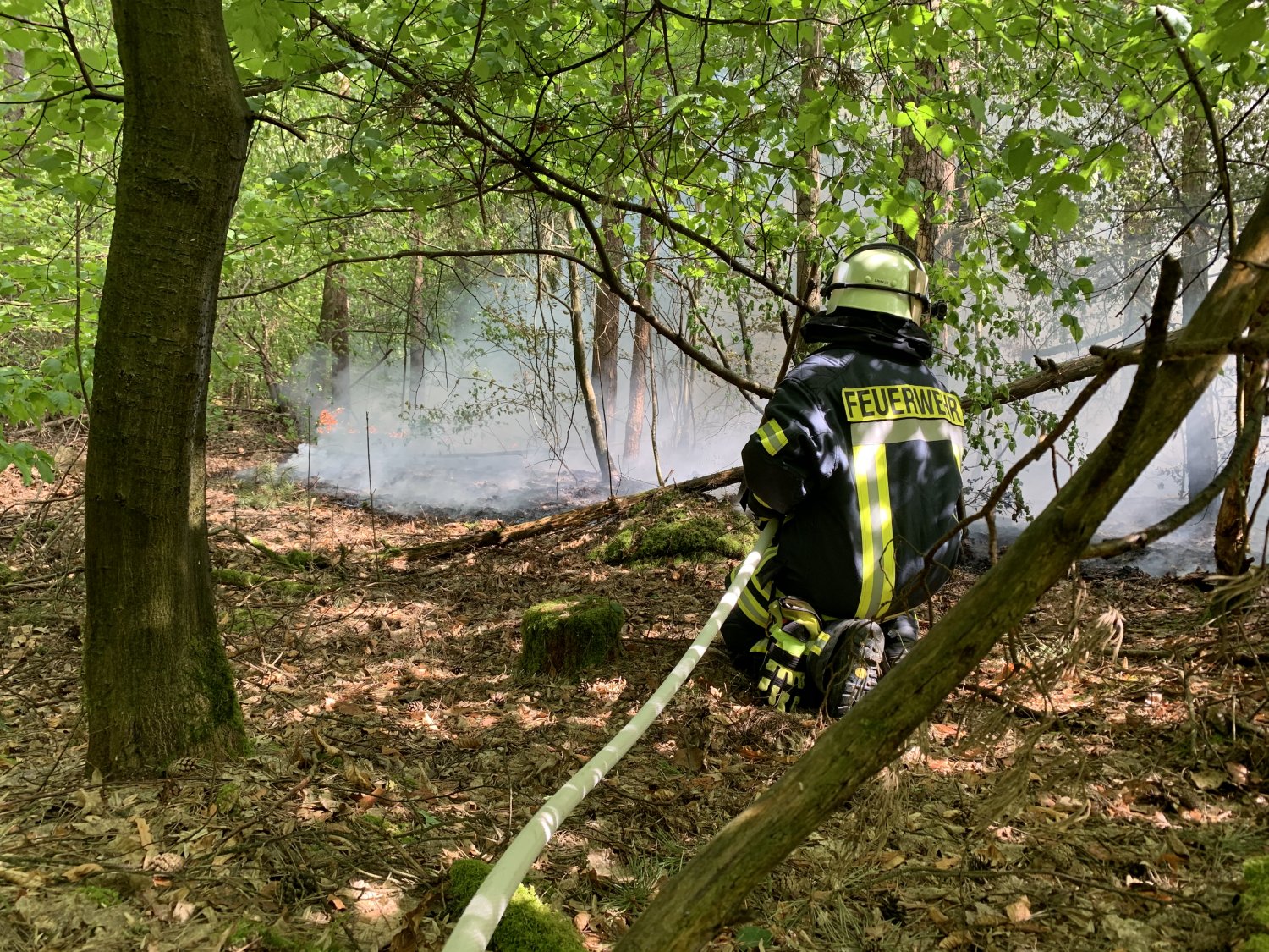 Rund 3.500 Quadratmeter Waldboden brannten.