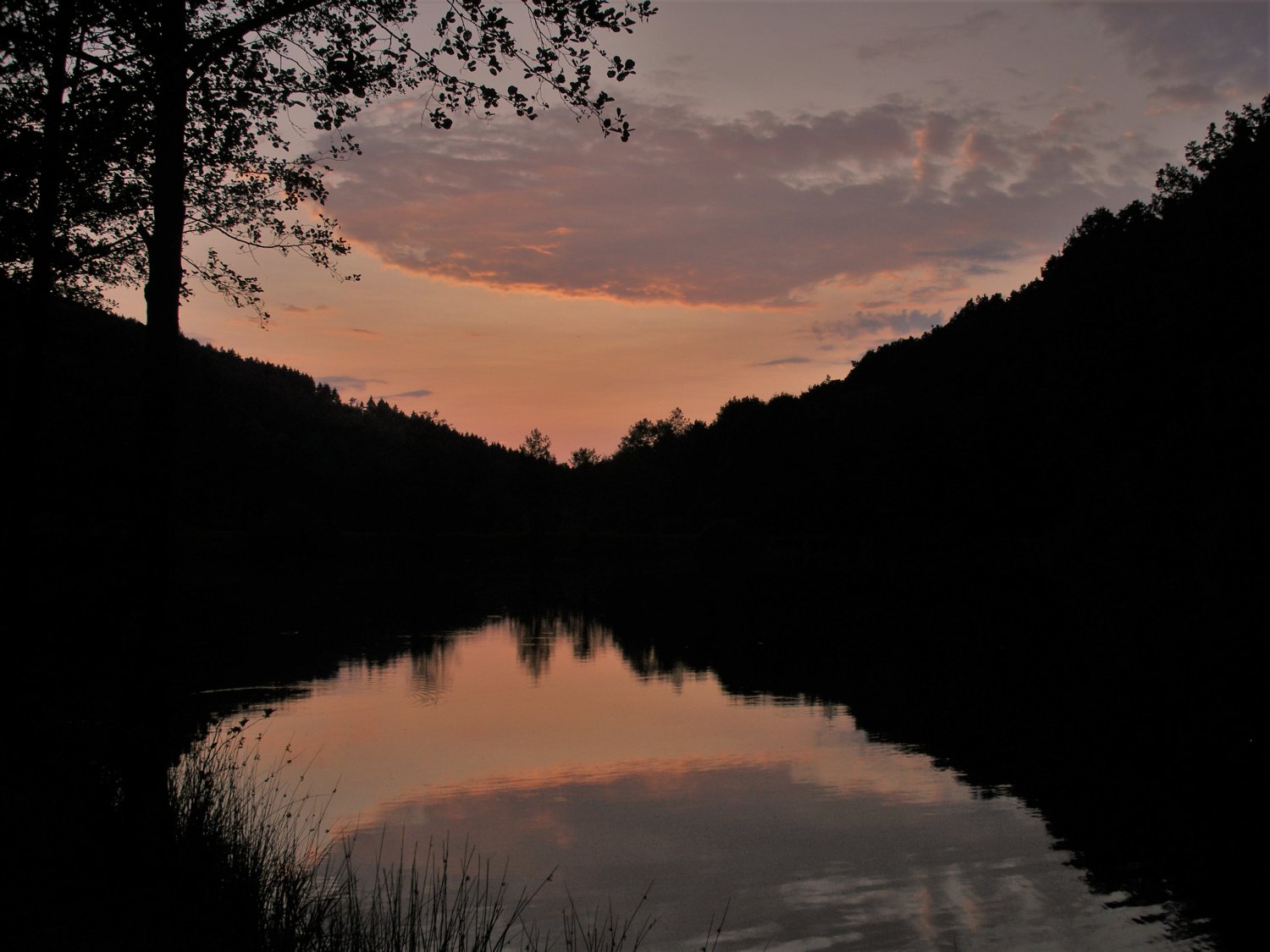 Am11. Juli 2020 soll die Abendwanderung stattfinden.