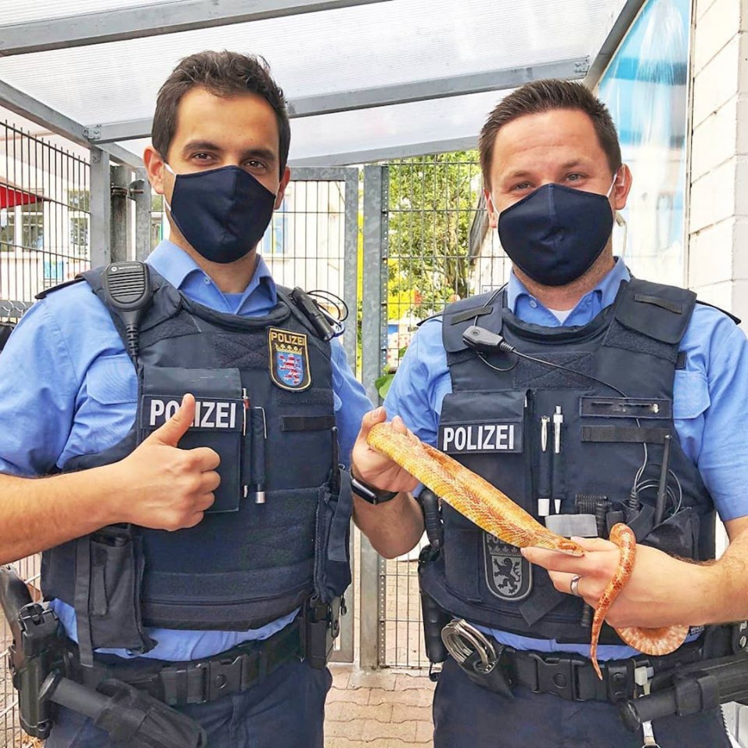 Fitim und Dennis von der Polizeistation Maintal waren gestern in Sachen Schlange unterwegs.