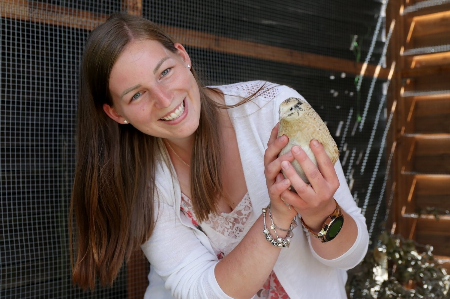 Seit Anfang des Jahres besitzt Janina Berger Wachteln.