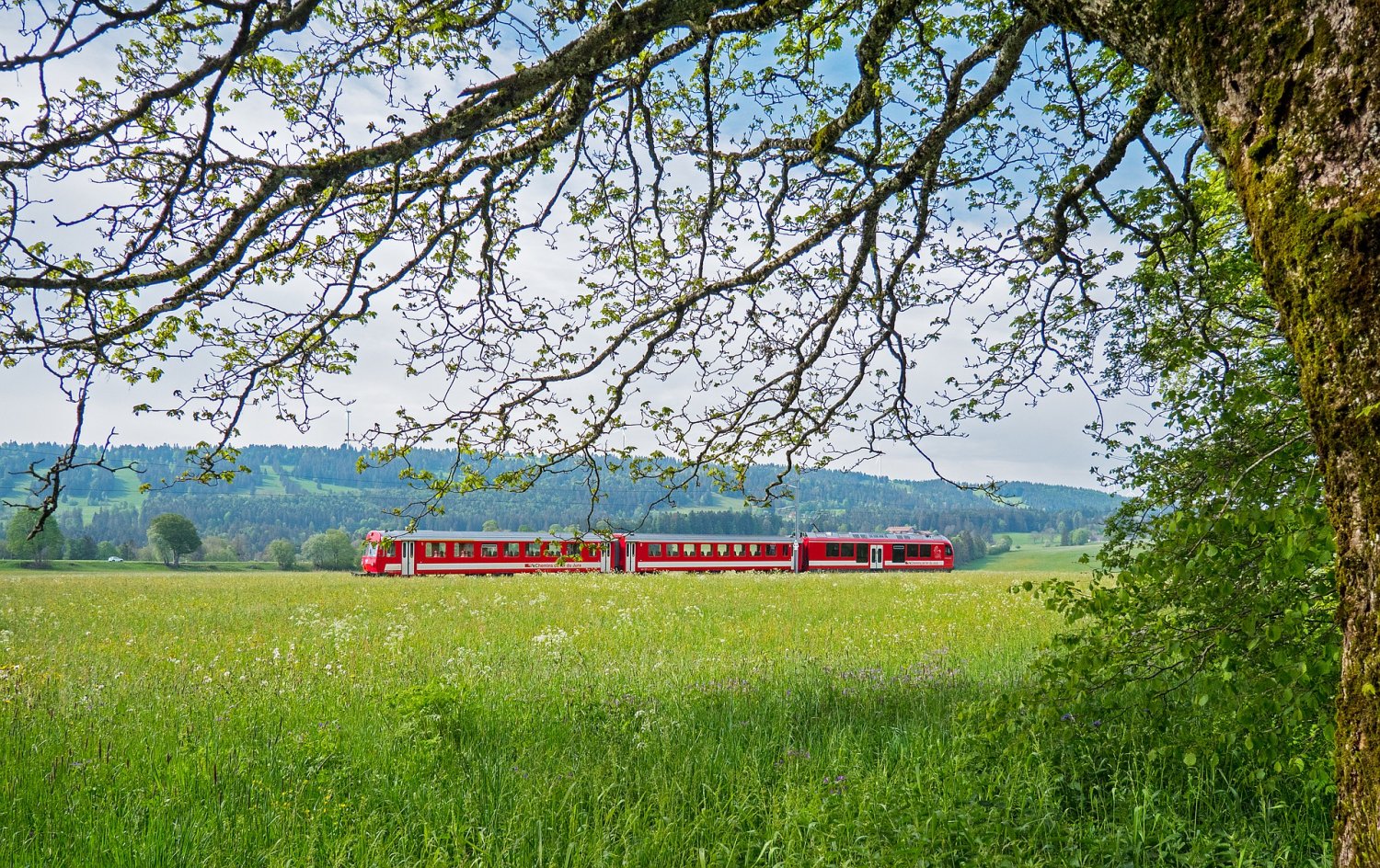 Erwachsenen-Tageskarte gilt mittwochs für zwei Erwachsene und bis zu fünf Kinder.