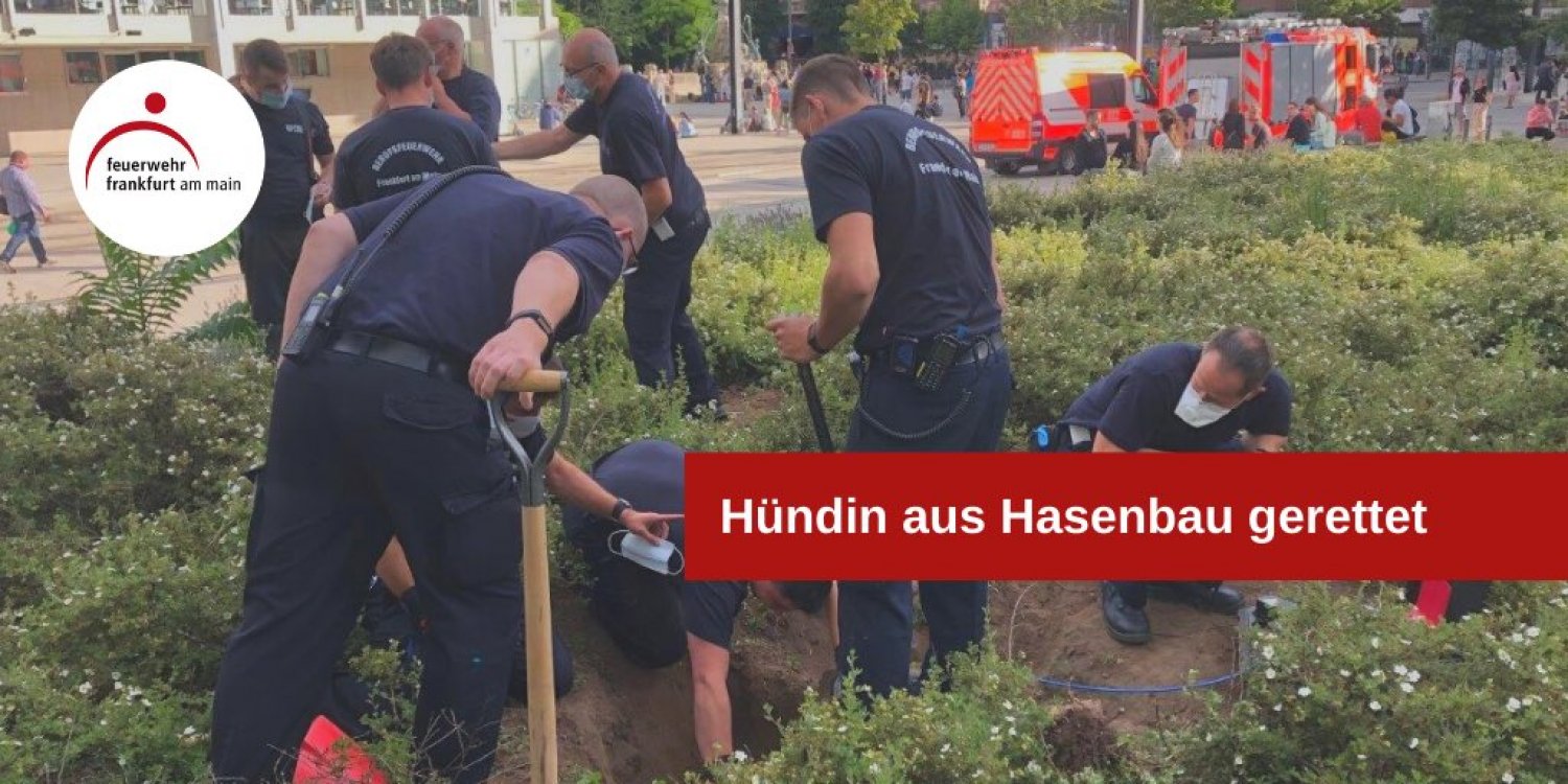 Muskelkraft war angesagt, um die kleine Hündin 