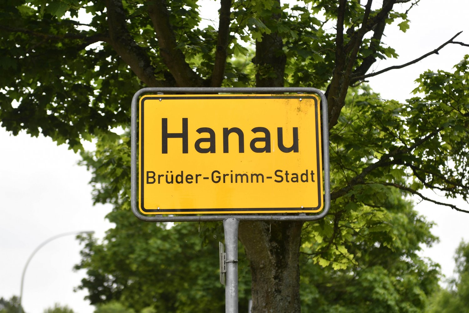 Die Baugesellschaft Hanau GmbH bleibt Partner der EBBECKE WHITE WINGS.
