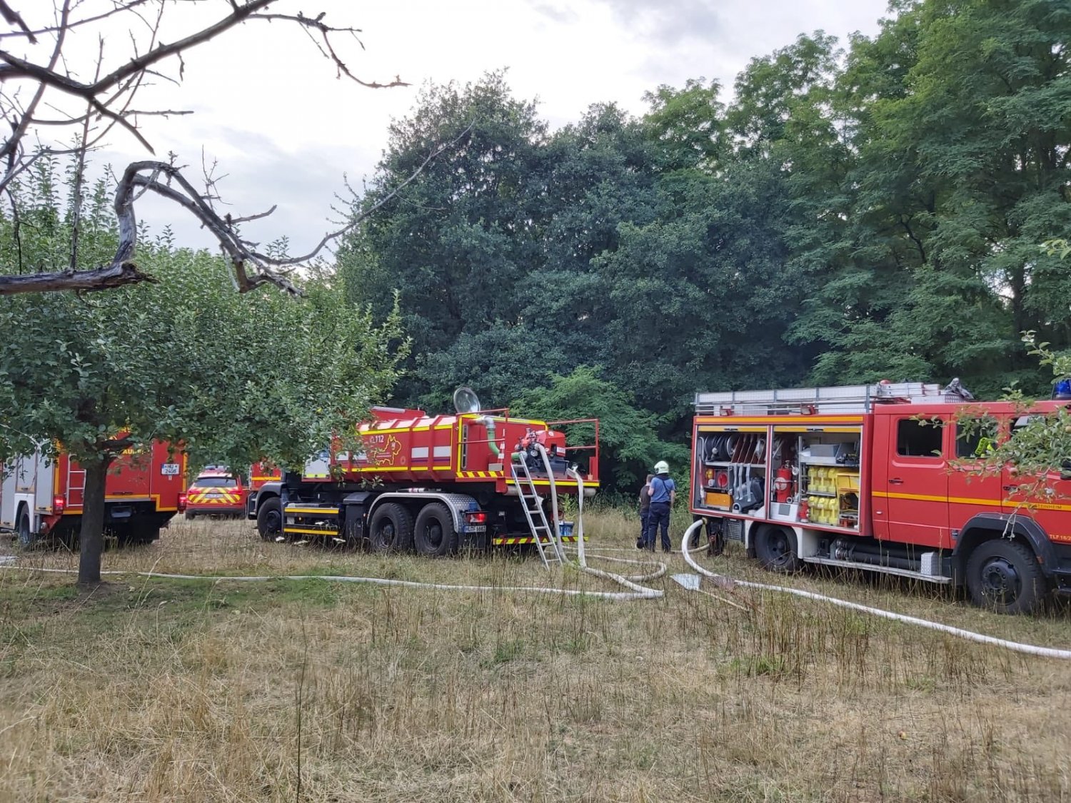 Einsatz am Samstagabend bei Steinheim