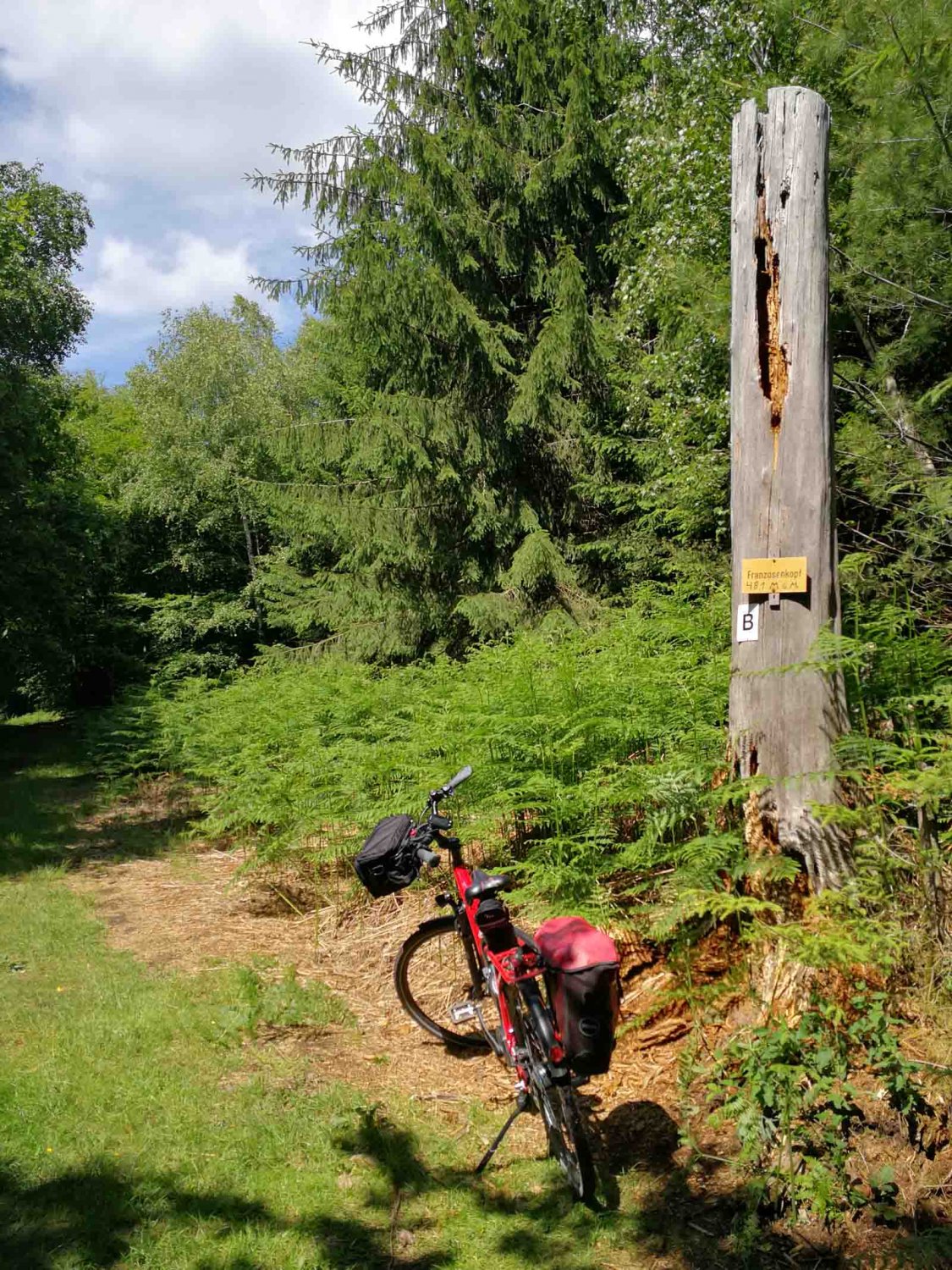 Die "Birkenhainer Straße" Mit dem Fahrrad auf der