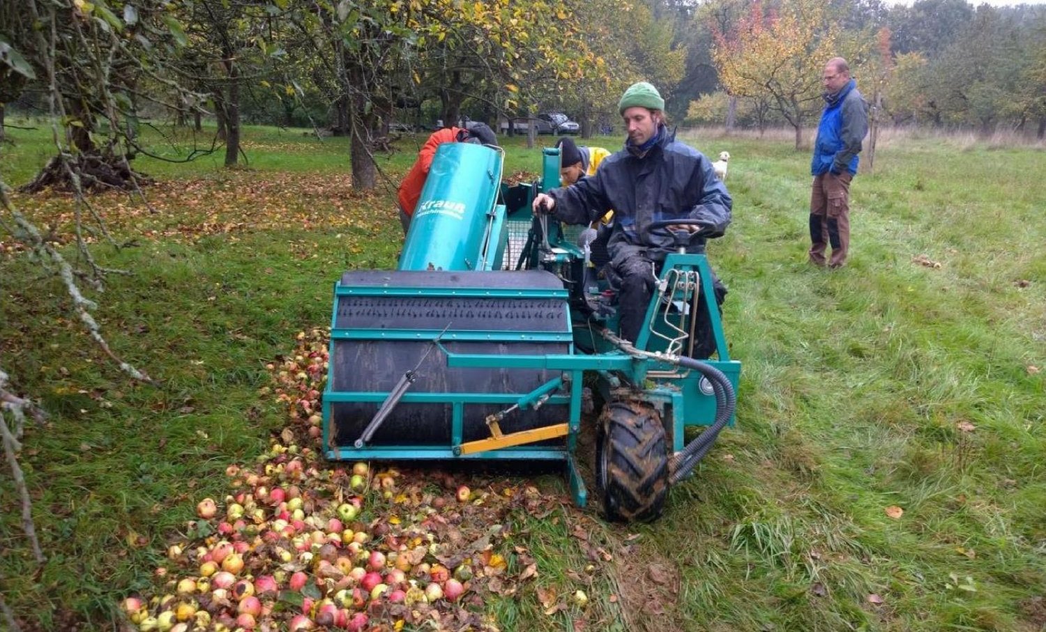 Auch die Bewirtschaftung von Streuobstwiesen gehören zur Tradition rund um den Apfelwein.