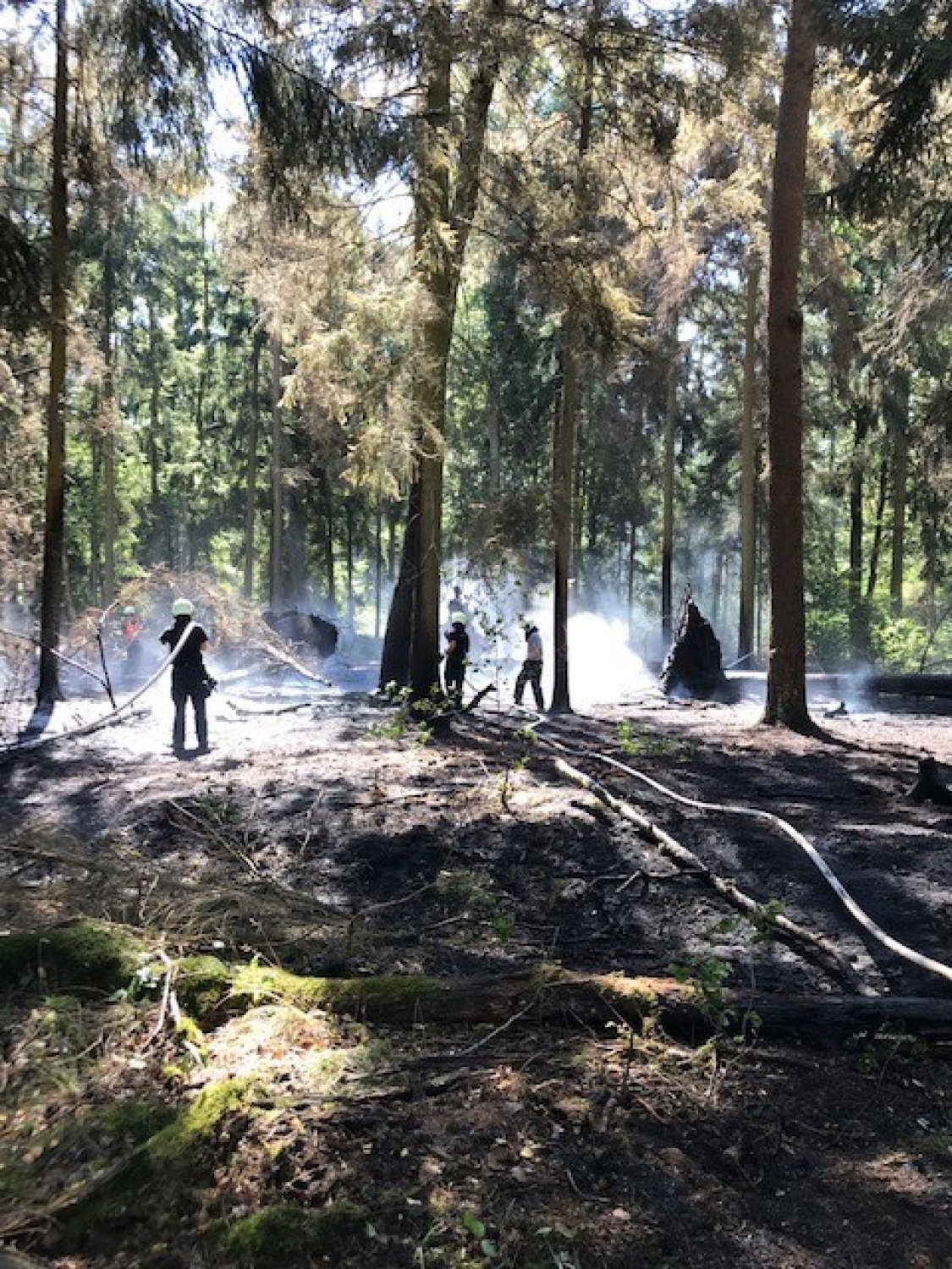Rund 1.000 Quadratmeter Waldfläche brannten am Freitagnachmittag.