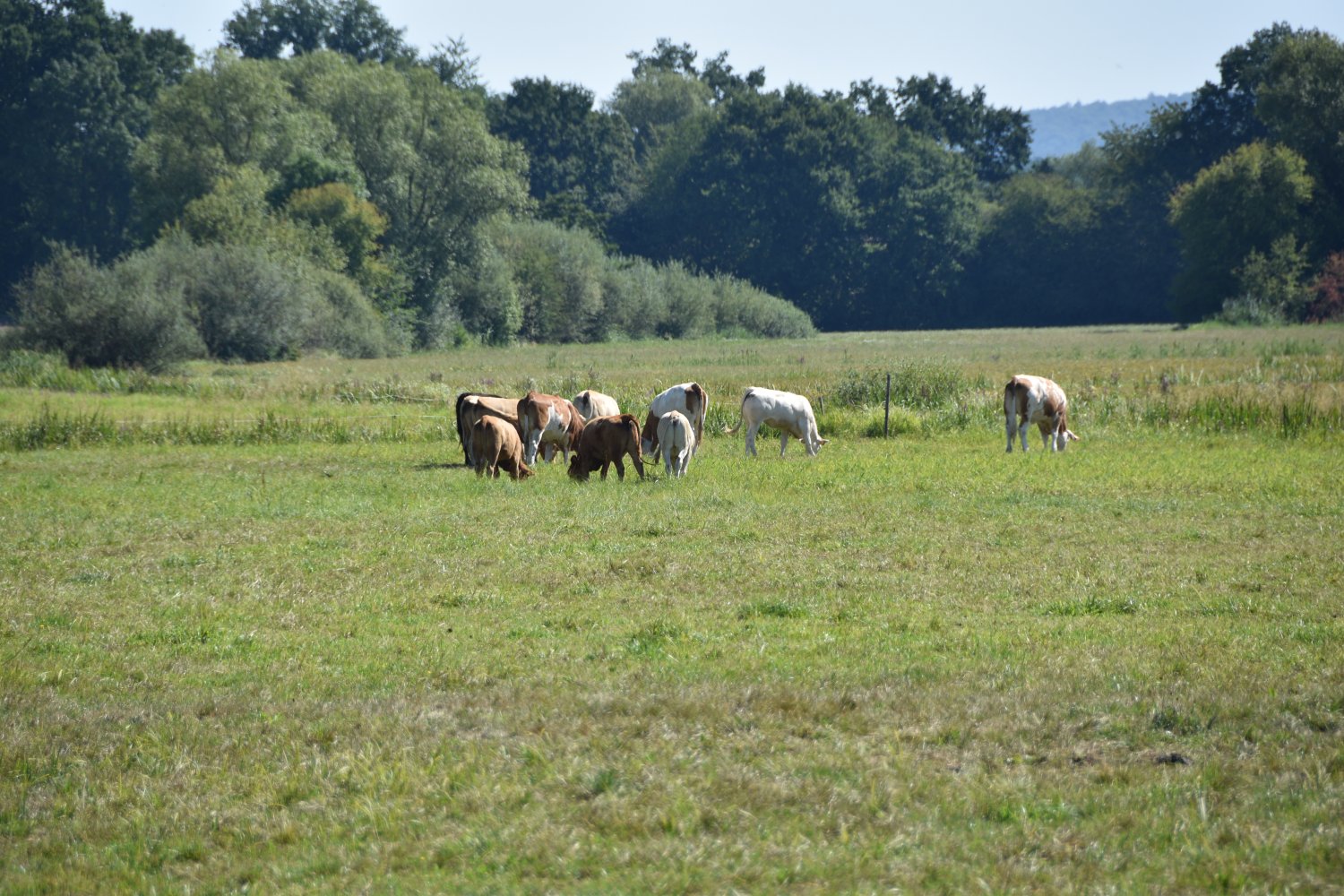 Bauernhof Genuss in Nidderau mit eigenem Hofladen