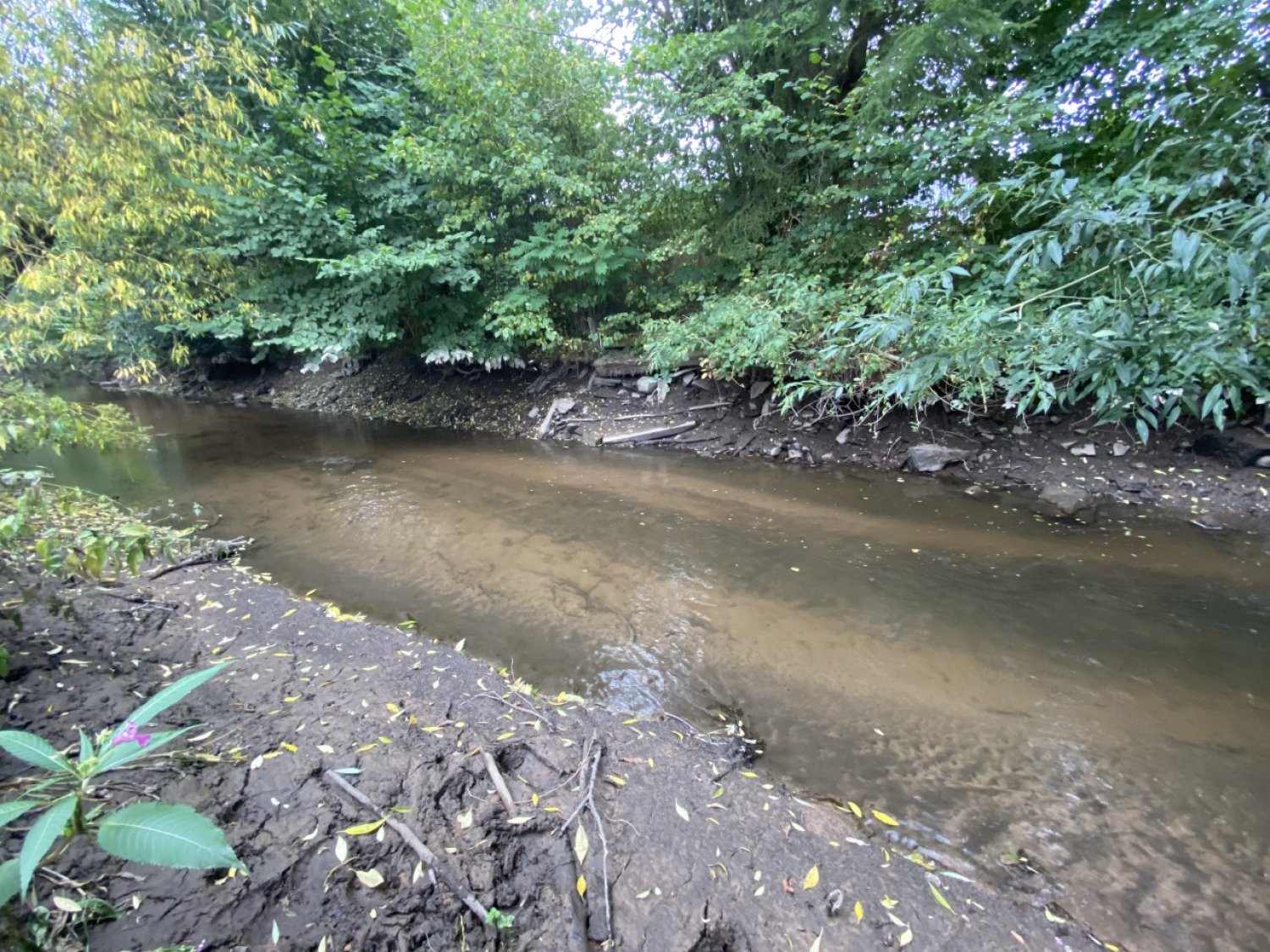 Viele Flüsse und Bäche führen derzeit nur relativ wenig Wasser. Die Situation ist regional unterschiedlich
