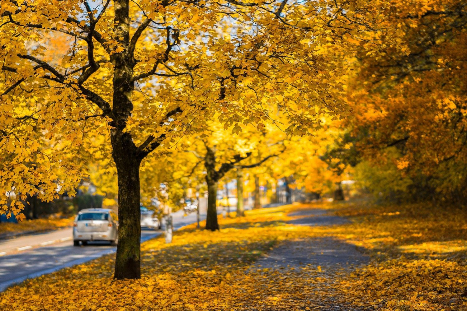 Die Fahrzeugsbeleuchtung sollte zur Herbst- und Winterzeit nochmal kontrolliert werden.