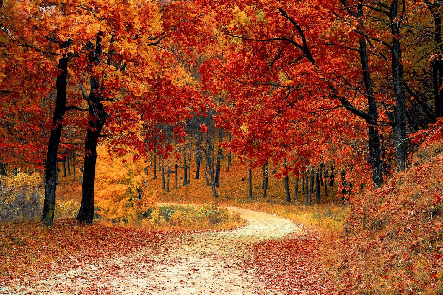 Auch im Herbst begleitet uns Corona.