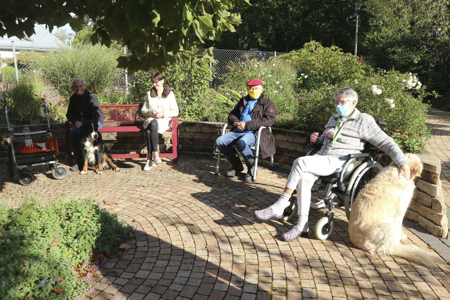 Auf den Hund gekommen - Die Bewohnerinnen und Bewohner des Wohnstifts Hanau freuen sich über den Besuch von Jack und Frieda