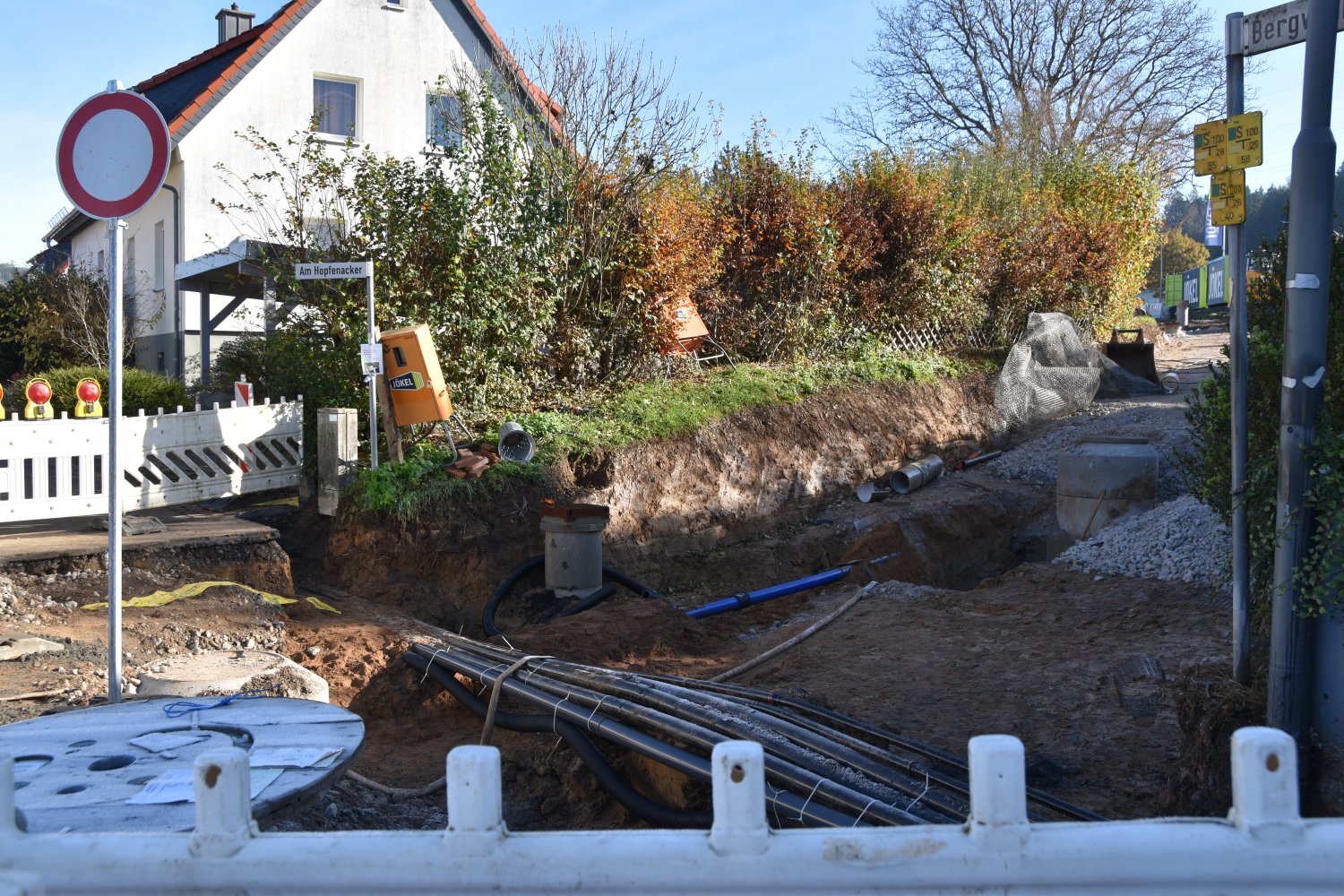 RattenAlarm im Wohngebiet Bei Bauarbeiten aufgeschreckt?!