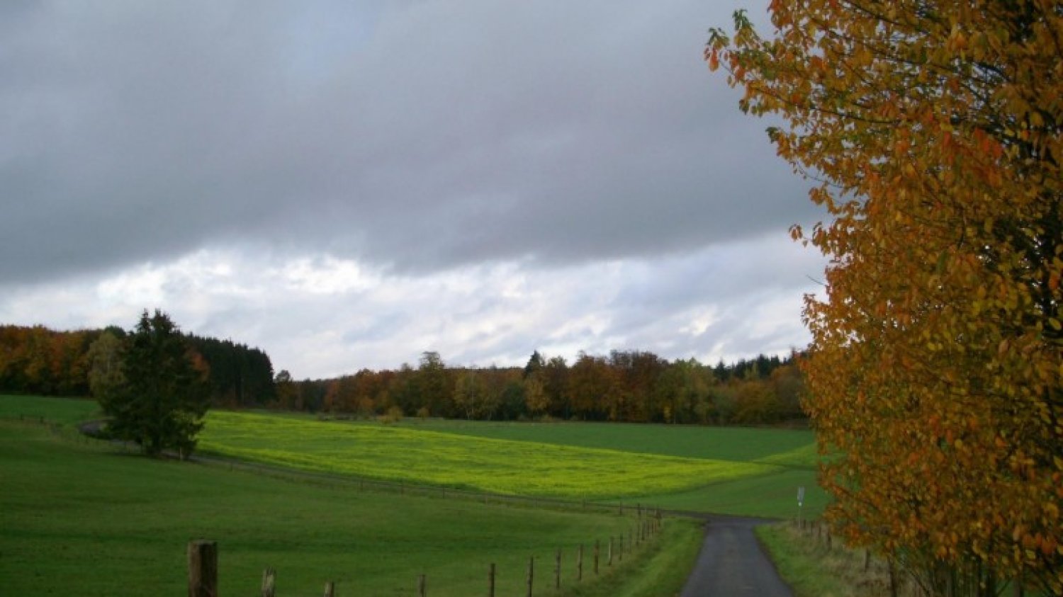 Die Farben des Herbstes lassen die Landschaft auch an trüben Tagen leuchten