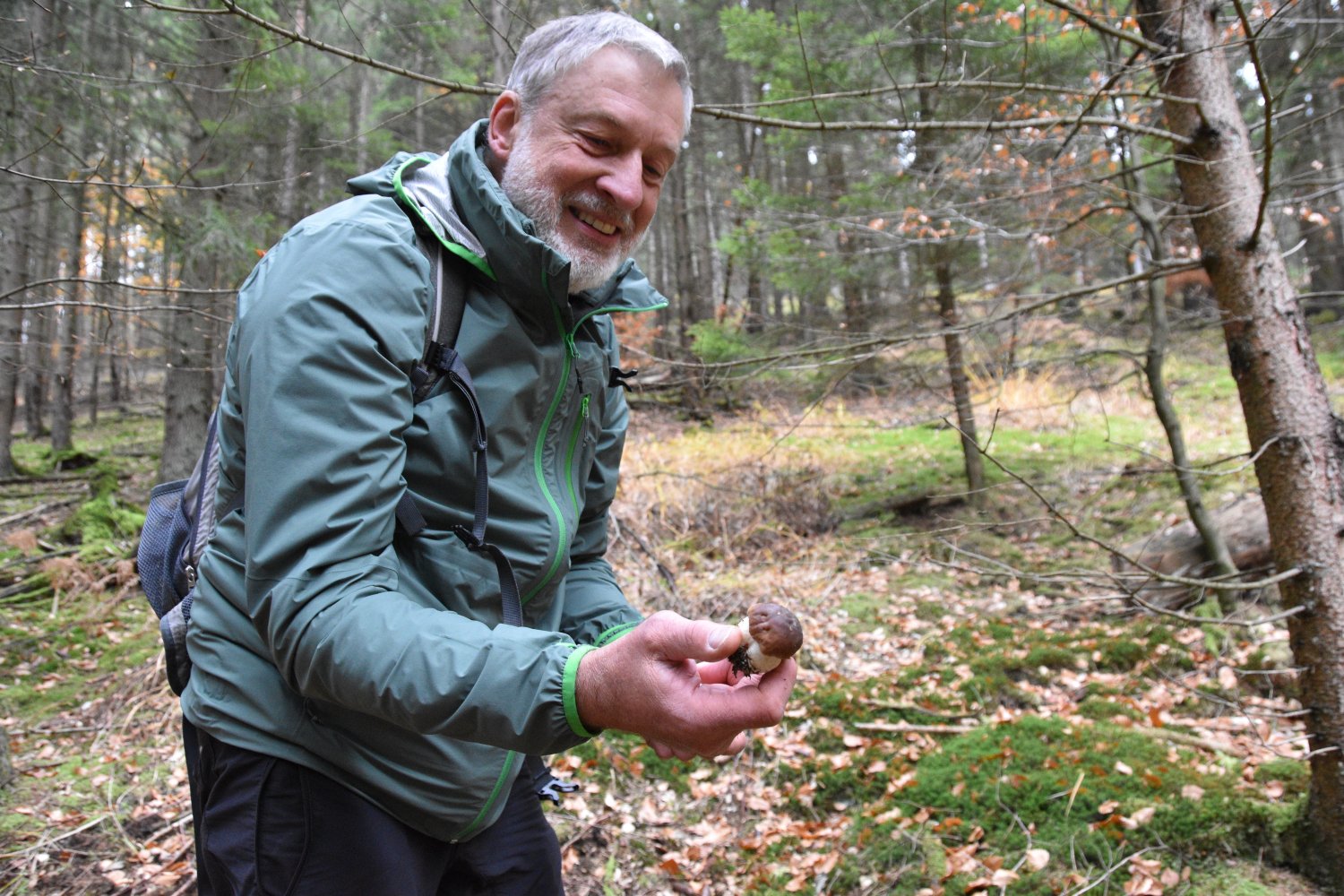 Michael Stange gibt als Pilzsachverständiger des Naturparks Hessicher Spessart Wander- und Pilzführungen.