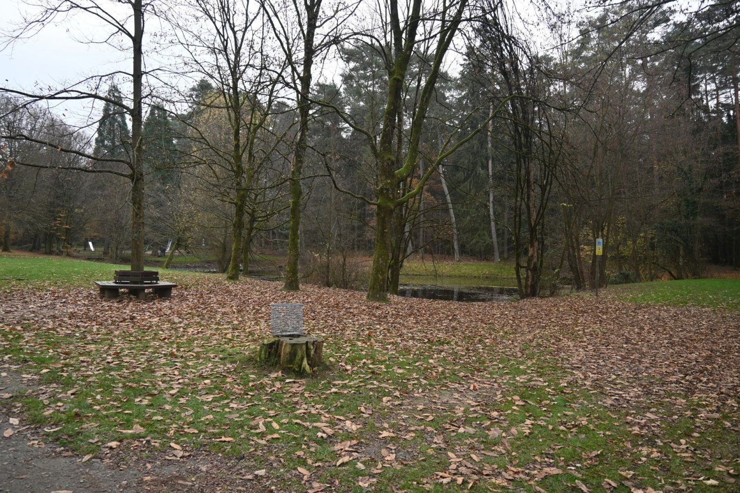An einem Teich bei Rodgau wurde eine Frauenleiche entdeckt
