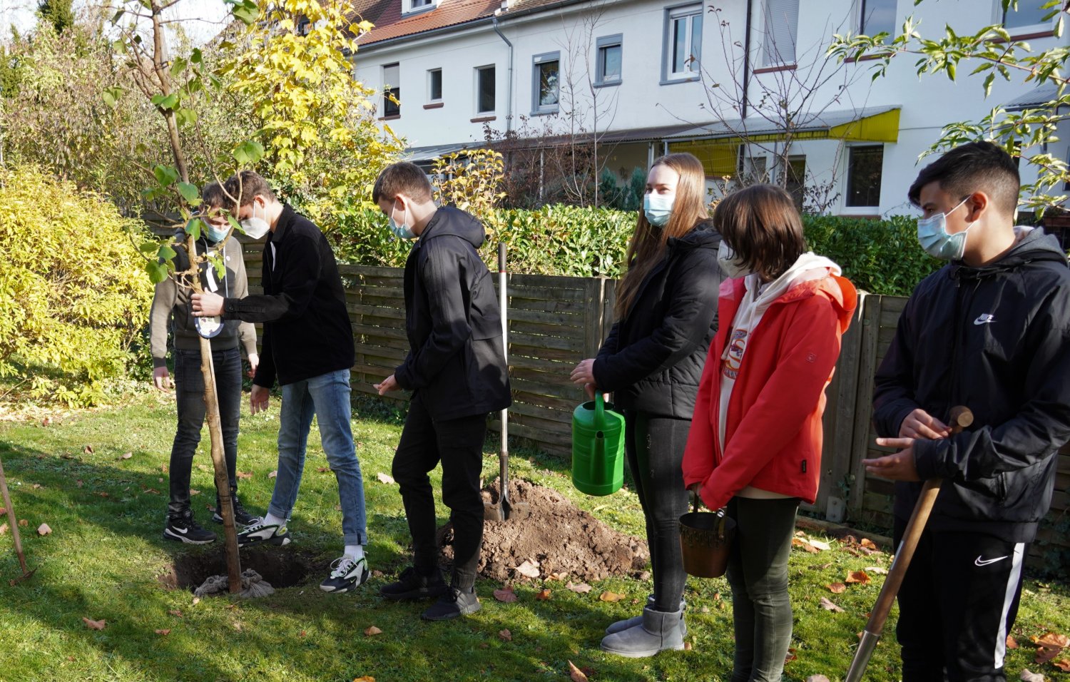 Jugendliche pflanzen einen biblischen Maulbeerbaum neben der St. Elisabethkirche