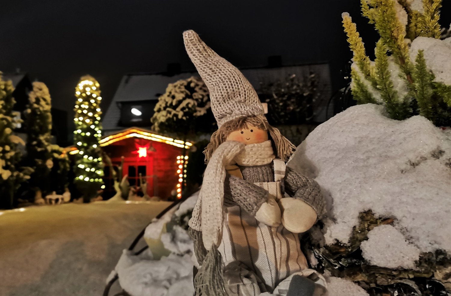 Ein kleines Winterwunderland im Garten von Günther Appich.