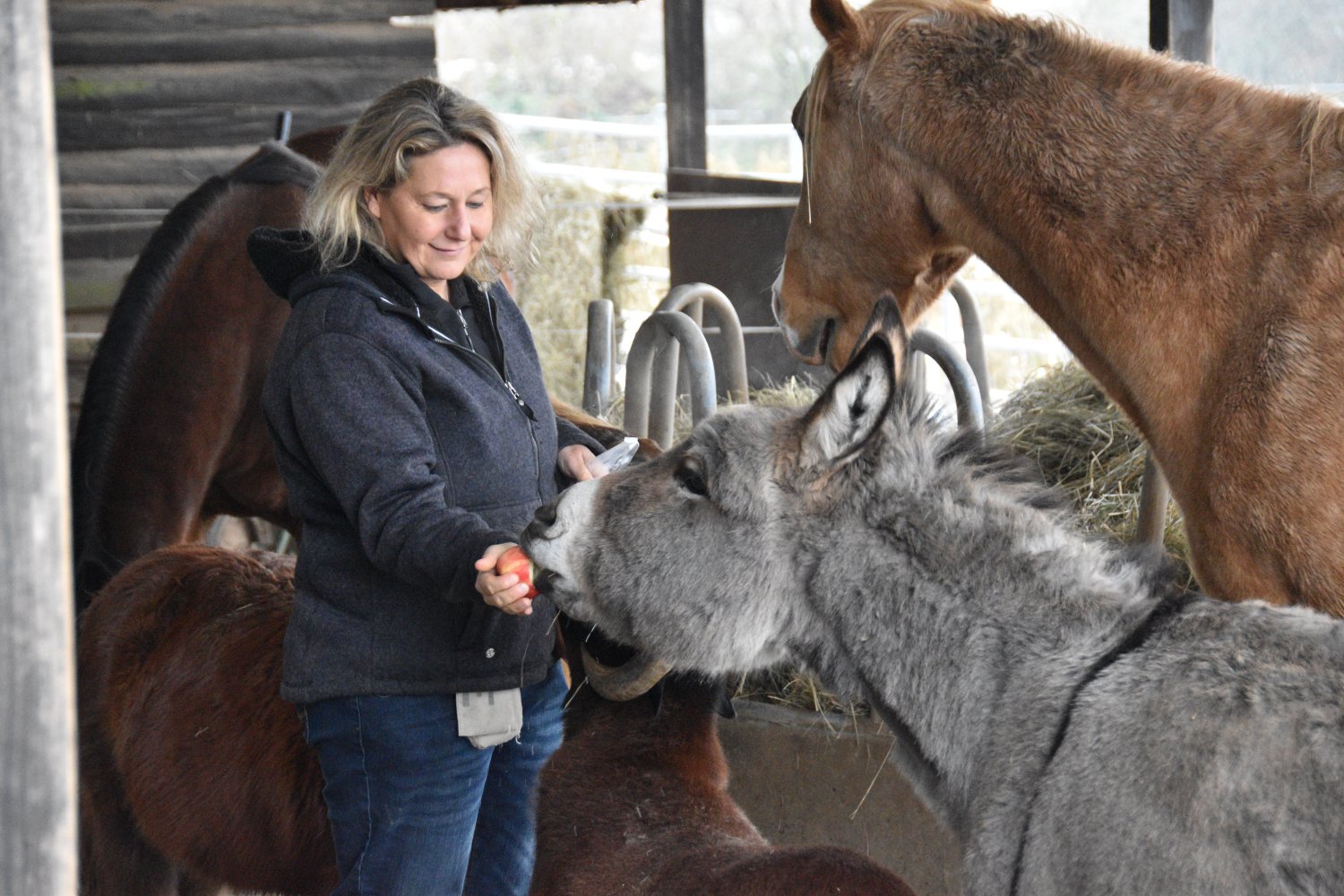 Corina Wink, Leiterin des Tierheims Gelnhausen, ist dankbar für jede Unterstützung.