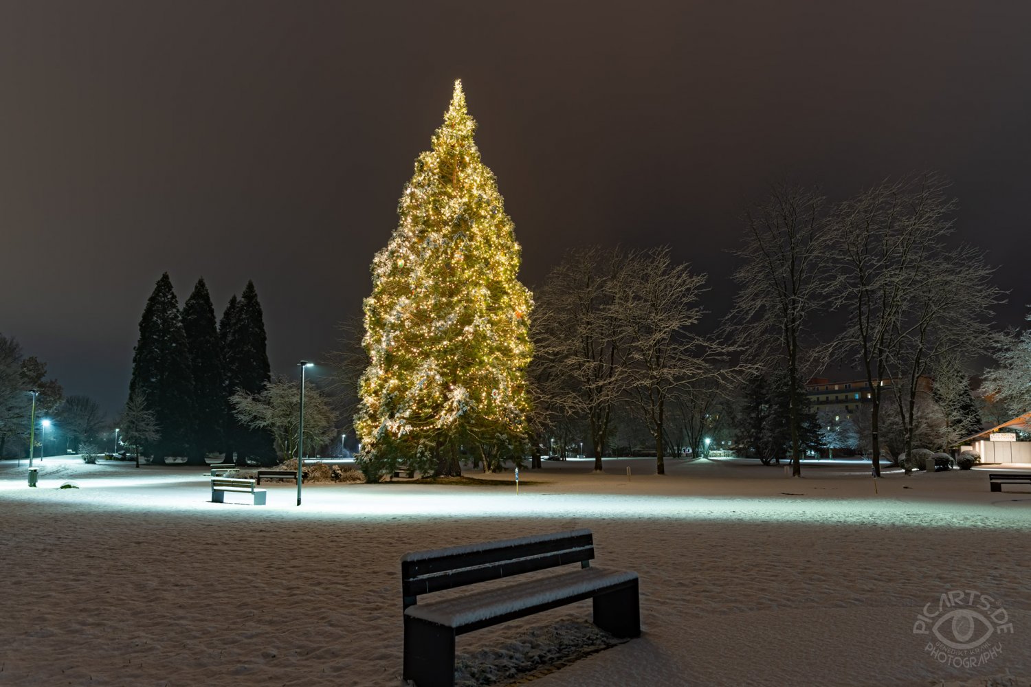 Hessens größter „Kinder-Weihnachtsbaum“ findet man aktuell im Kurpark von Bad Soden-Salmünster. Pünktlich um Beginn der Adventszeit sogar ummantelt von weißer Schneepracht.