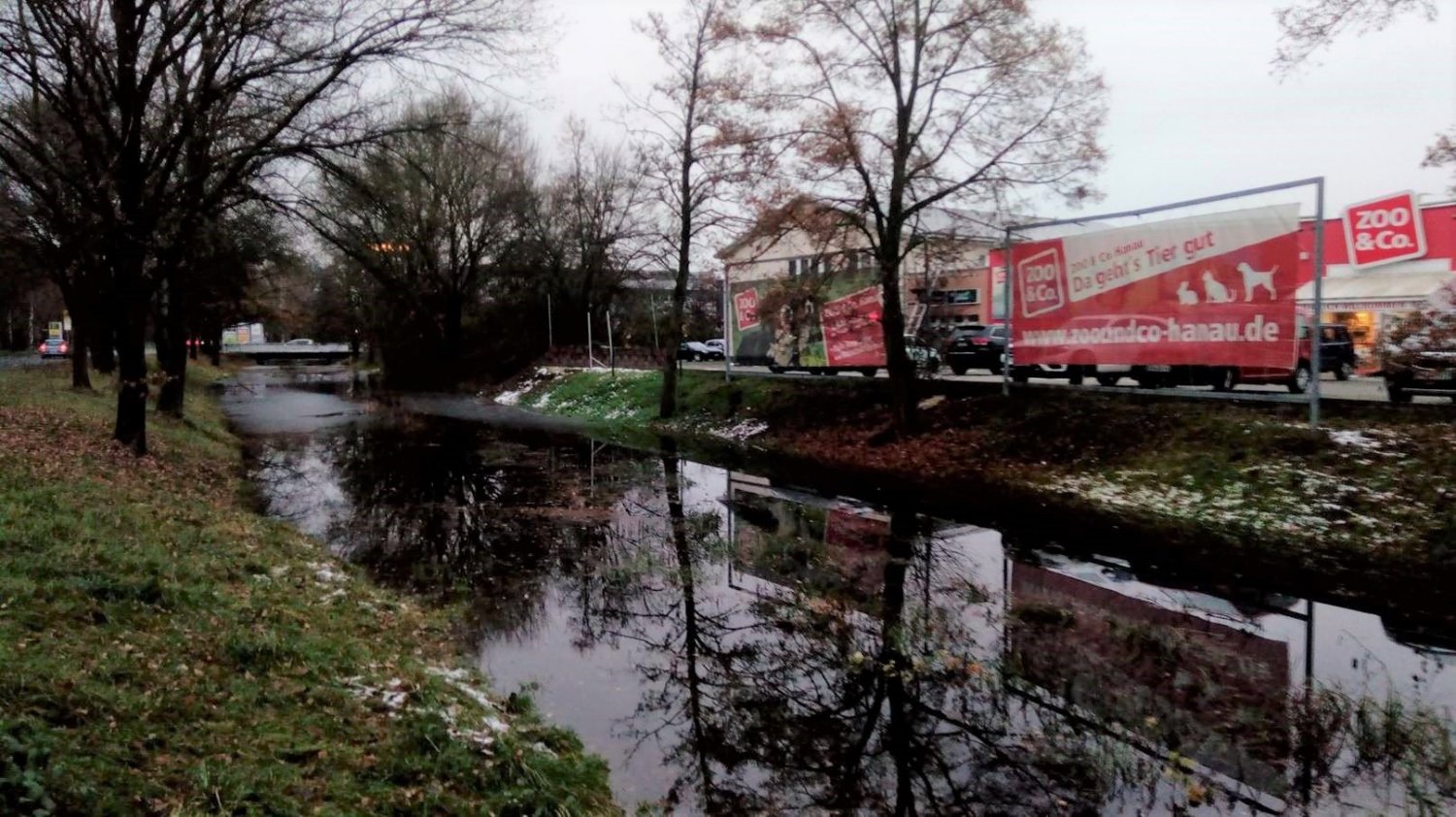 Entlang der Oderstraße baut ein Biber derzeit wieder einen Damm