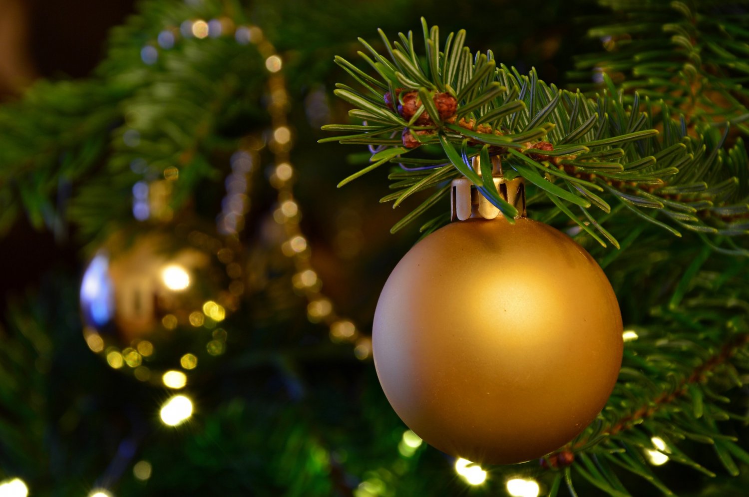 Entgegen den Angaben auf dem Abfallkalender 2021 müssen die Weihnachtsbäume am 09.01.2021 bereits ab 6.00 Uhr morgens zur Abholung bereitgestellt werden.