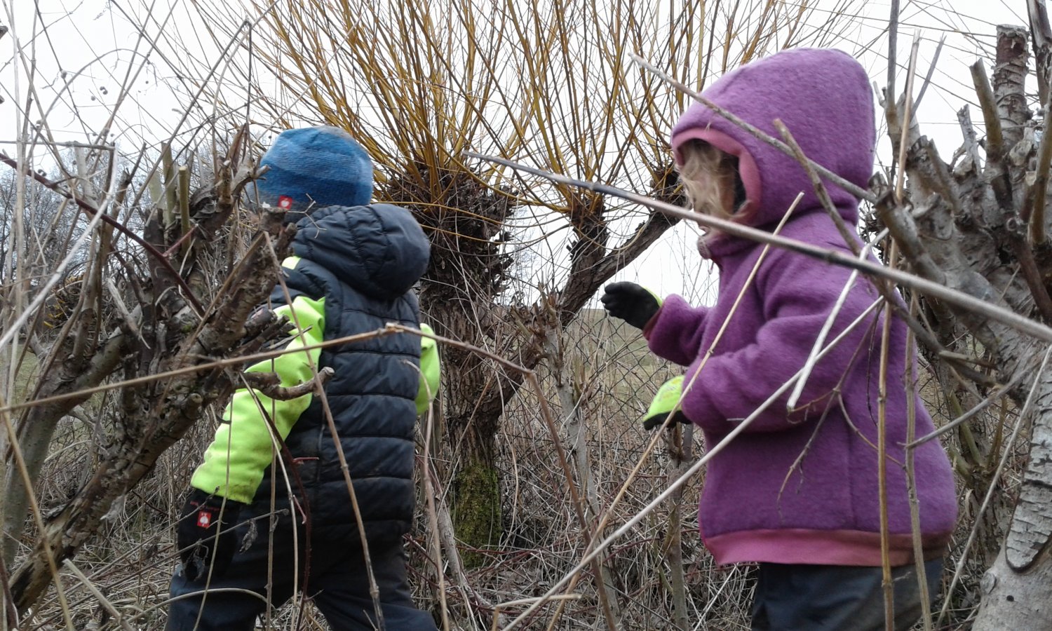 Kinder vom Naturkindergarten Lämmerschupp helfen einer Korbflechterin.