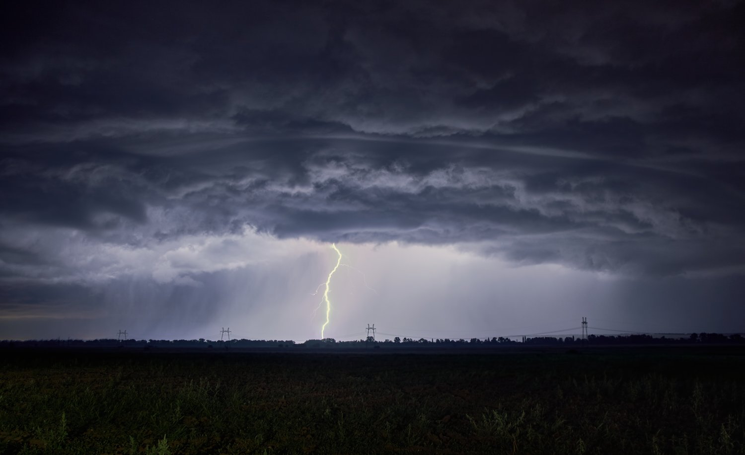 Schauer, Regen und Wind erwartet die Region am Donnerstag.