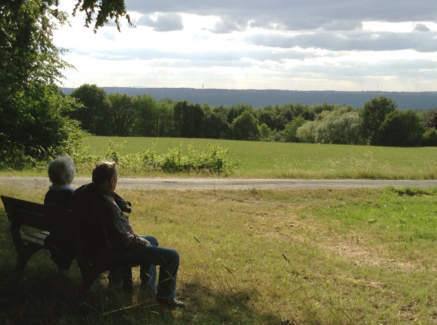 Blick von der Panoramaschleife des Kulturweges über das Kinzigtal.