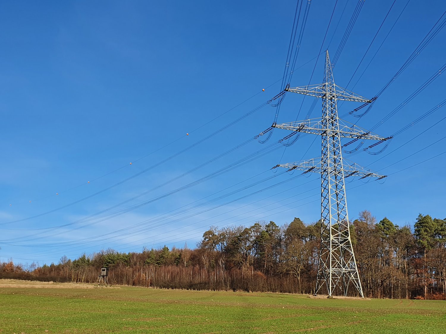Am Mittwochabend kam es während eines Gewitters in der Gemarkung Gründau zu einem direkten Blitzeinschlag in die 20 kV-Freileitung.