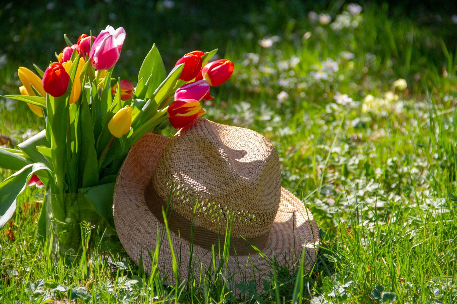 Endlich gibt es wärmere Temperaturen