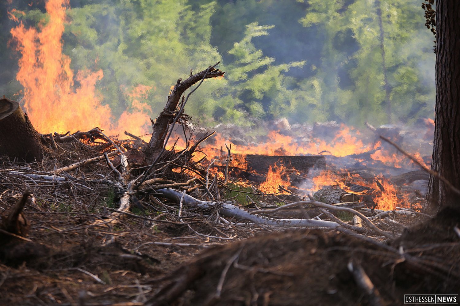 In Hessen herrscht am Wochenende mittlere bis hohe Waldbrandgefahr.