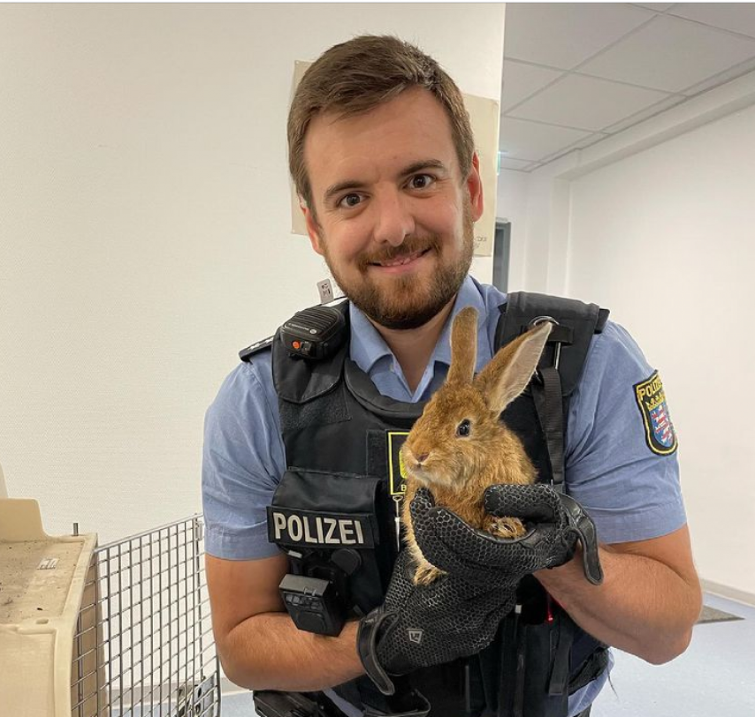 Auch für die Hasen gilt: Die Polizei, dein Freund und Helfer