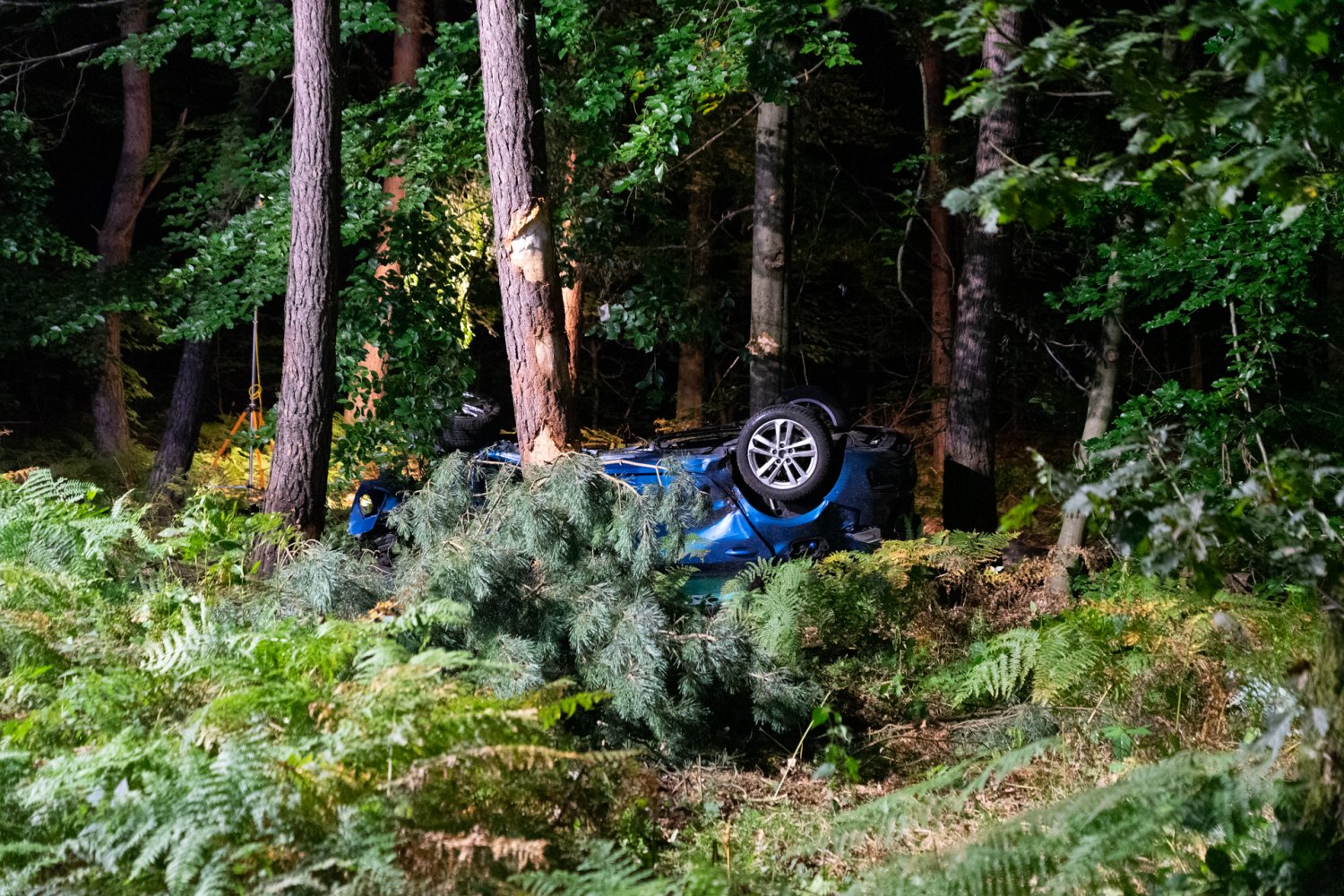 Das blaue Fahrzeug kam von der Fahrbahn ab und krachte gegen einen Baum