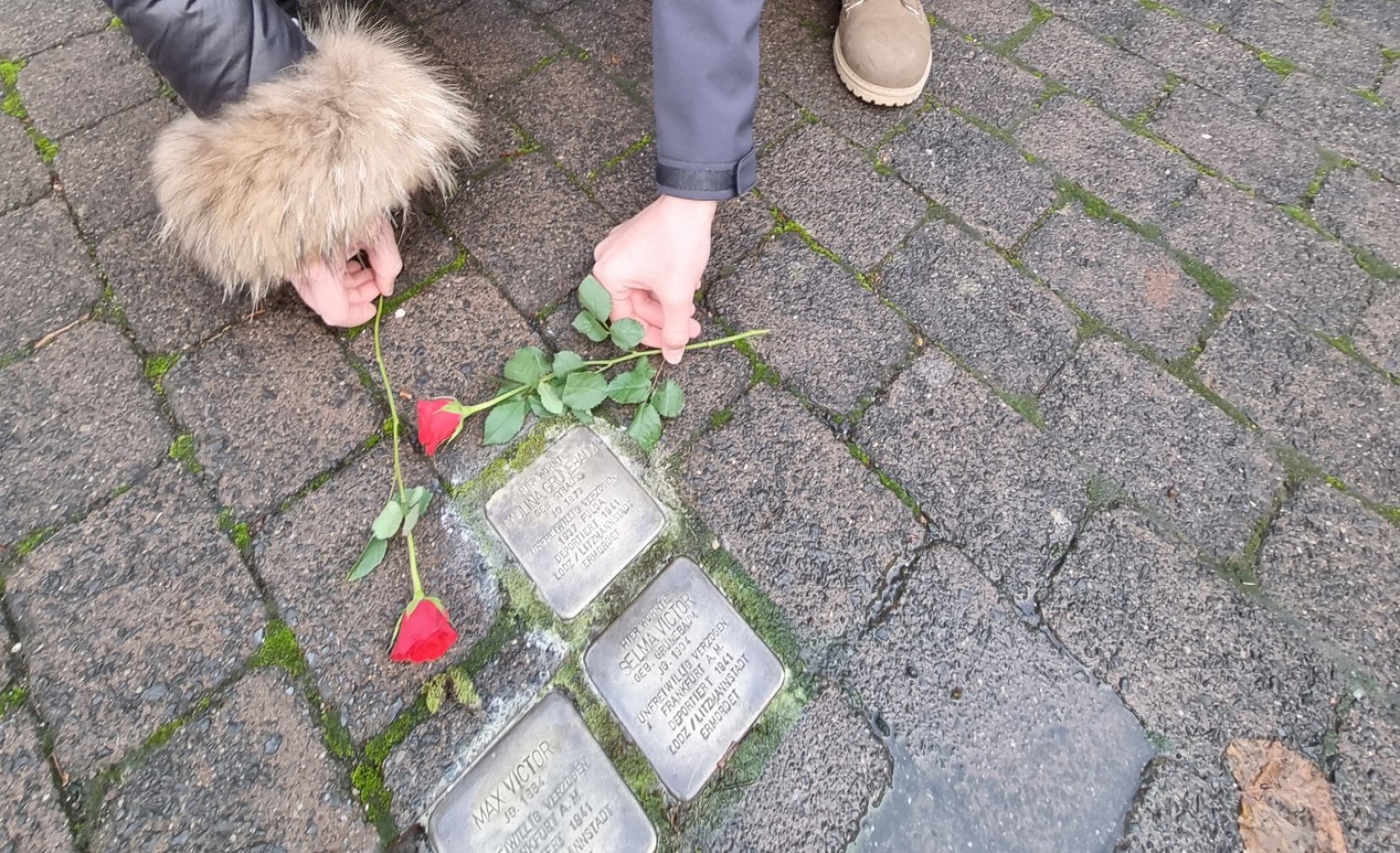 Am Jahrestag der Reichspogromnacht haben 20 Schüler der Henry-Harnischfeger-Schule die vor einigen Jahren verlegten Stolpersteine gereinigt.