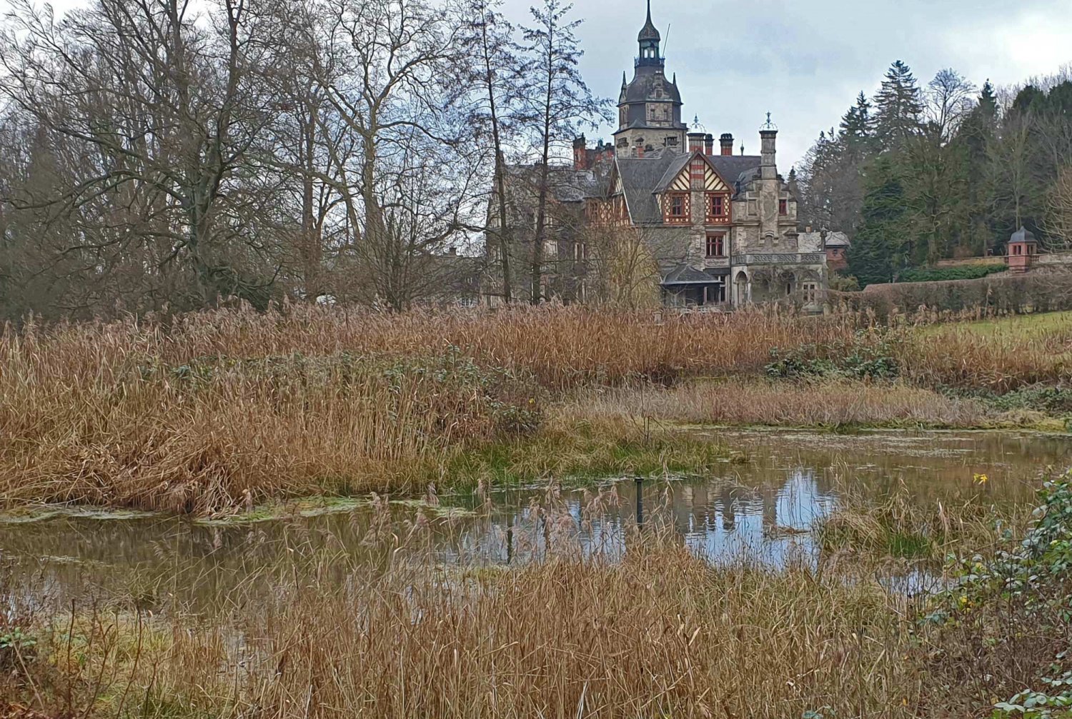 Der Schlosspark Ramholz unter der Lupe: Klicken Sie sich durch die Bilderserie von Walter Dörr.
