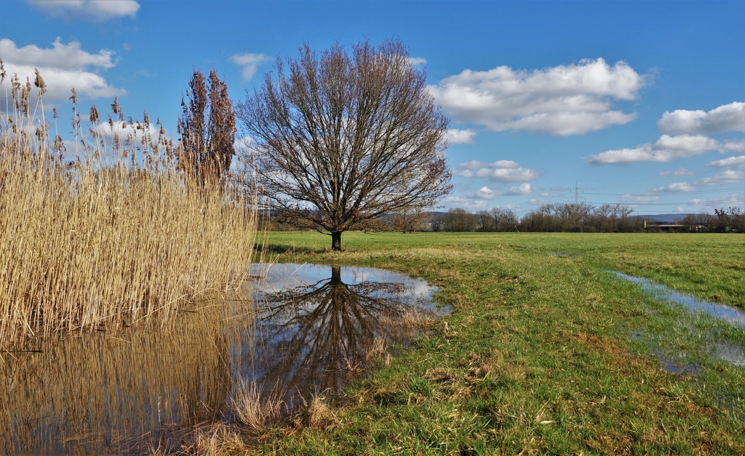 Traumhafte Spiegelungen auf dem Wasser.