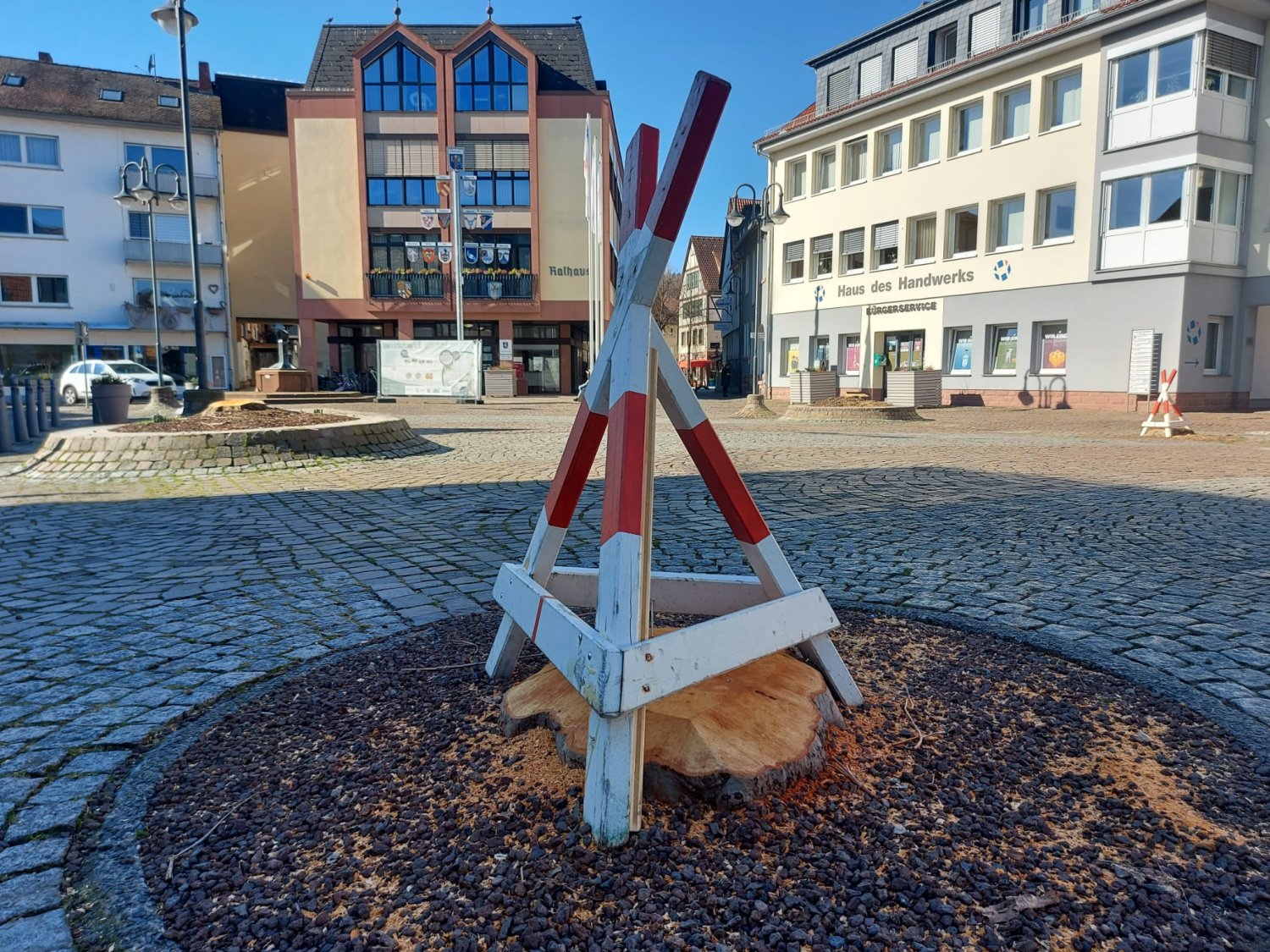 Von den Platanen ist nur noch ein Teil vom Stamm zusehen.