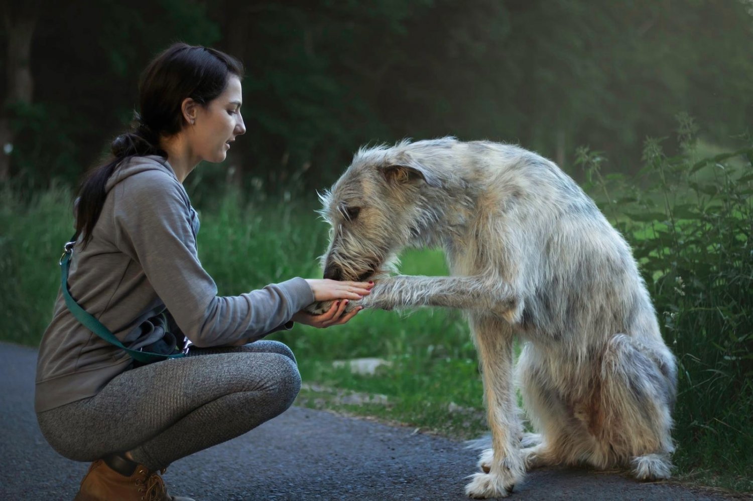 Jennifer Brown mit ihrem irischen Wolfshund Alduin