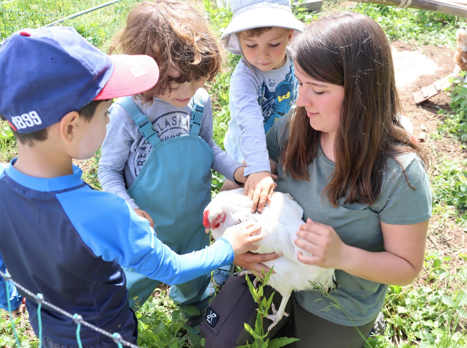 Viel Spaß mit fünf Hühnern haben die Kinder in der Natur-Kita.