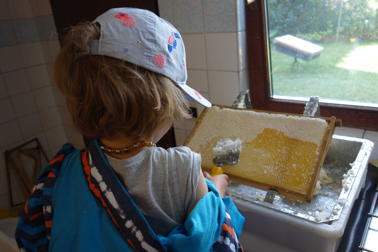 Die Kitakinder durften selbst beim Entdeckeln der Waben und Schleudern des Honigs helfen.