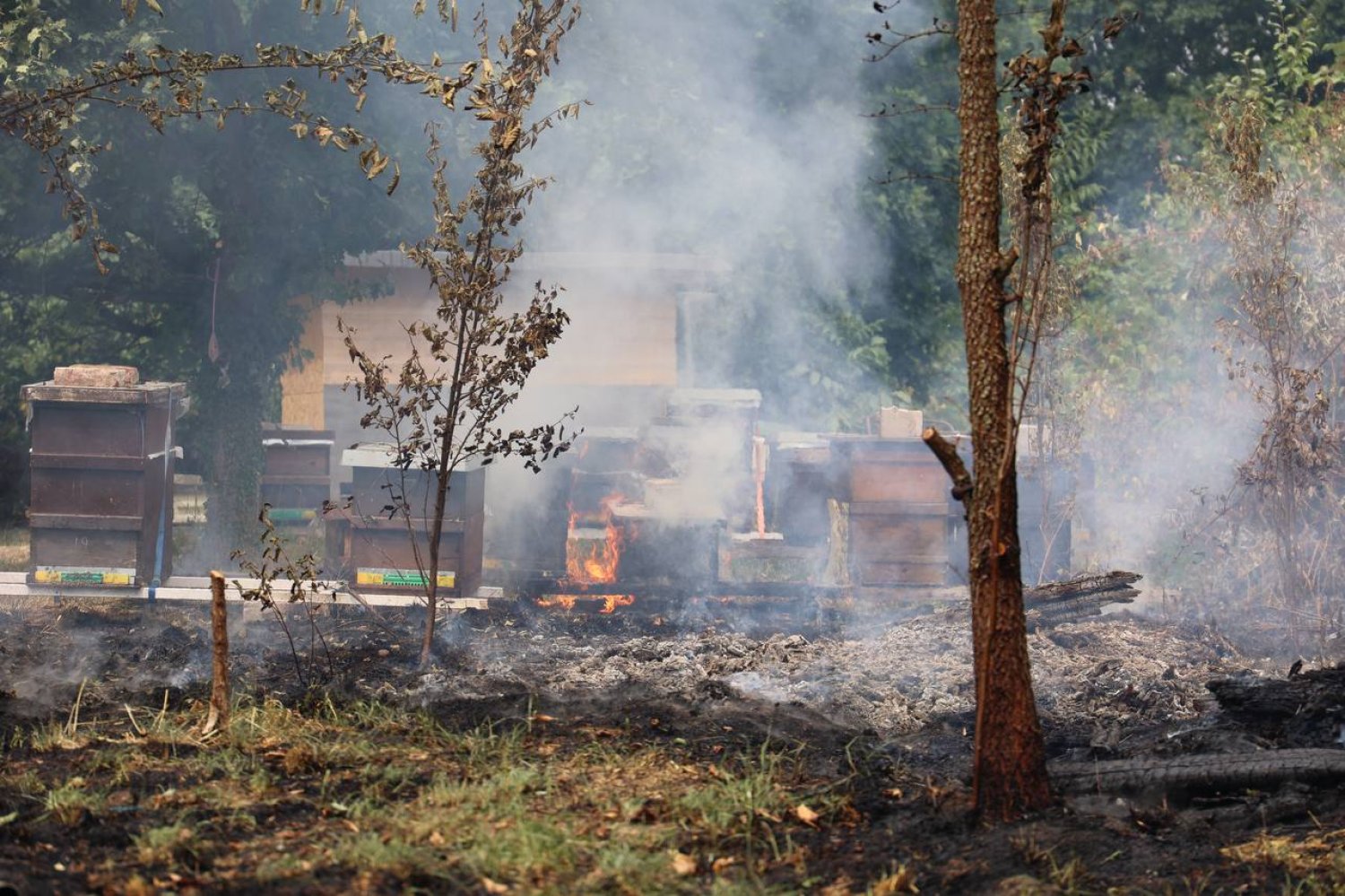 Bei Hanau-Steinheim brennen rund 20.000 Quadratmeter Wald- und Wiesenboden.