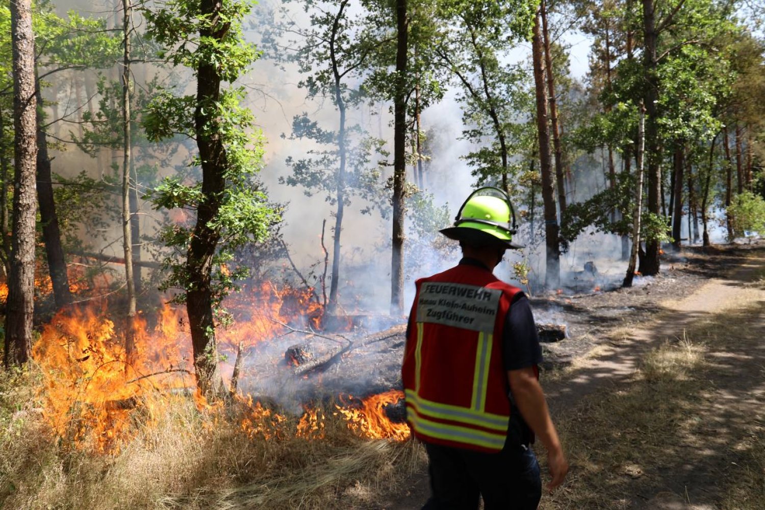 Am Montagnachmittag ist in einem Waldgebiet bei Hanau-Großauheim ein Brand auf einer Fläche von rund 60.000 Quadratmetern ausgebrochen.